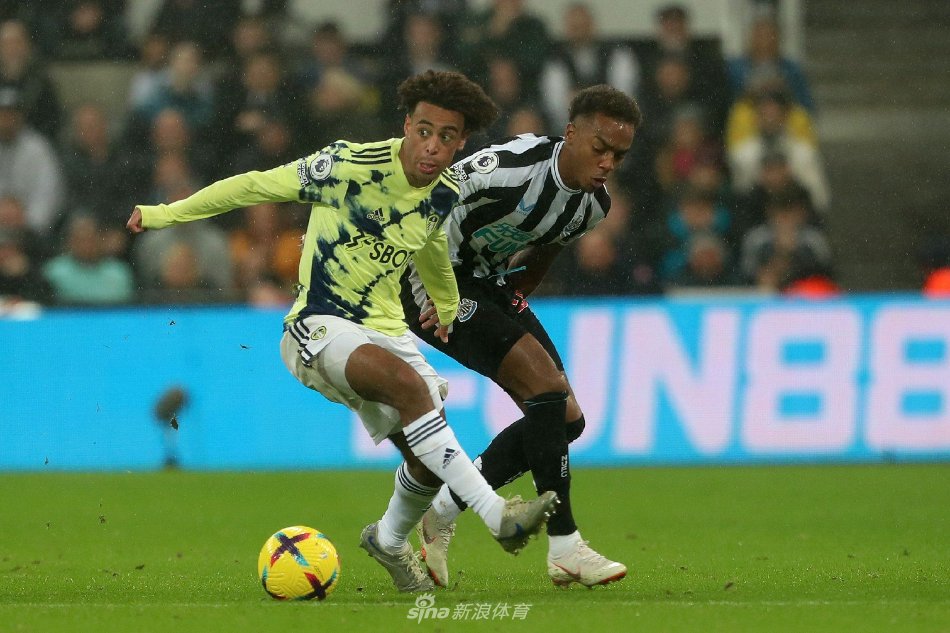 节奏往往趋 节奏往往趋