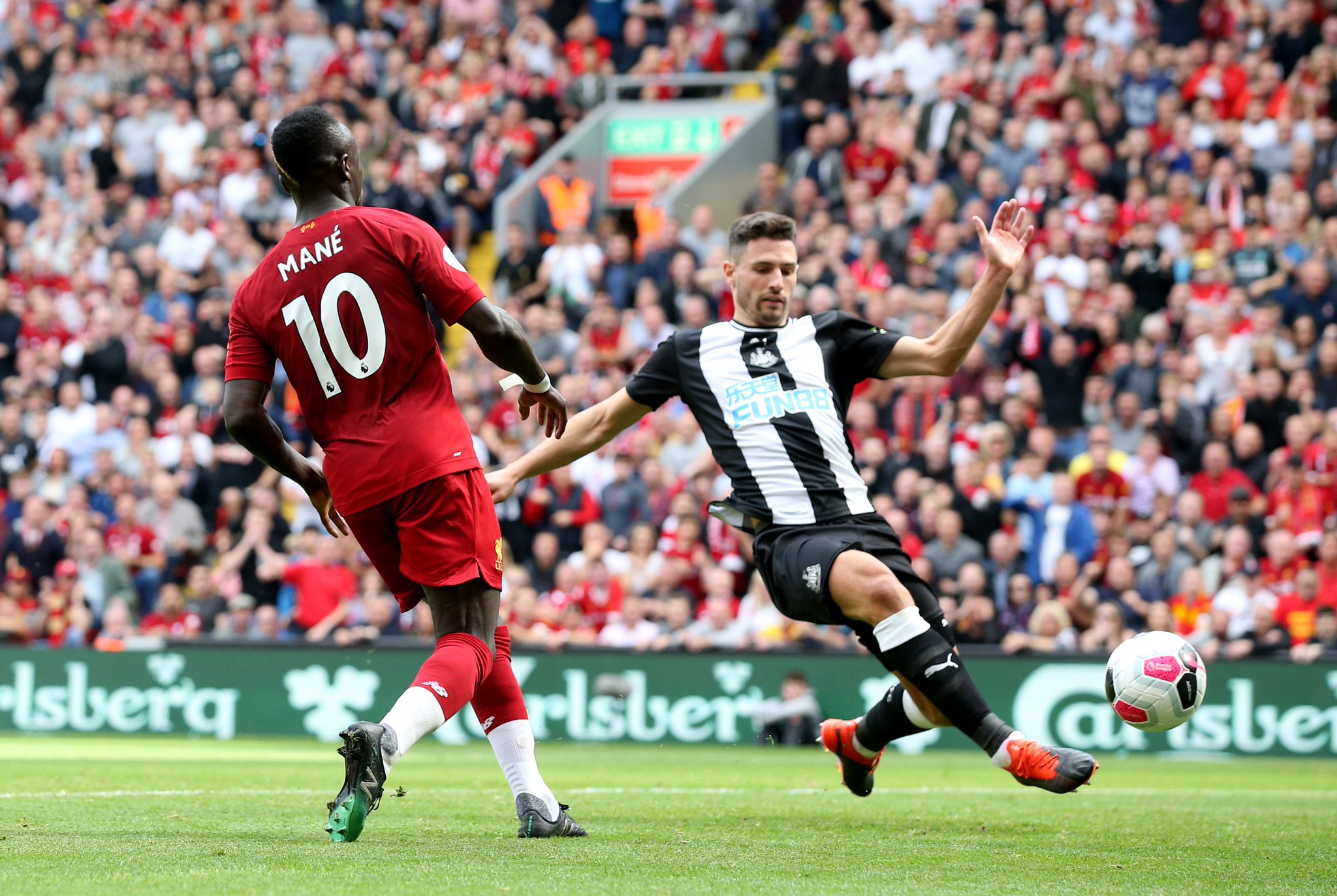 不同种类的 不同种类的